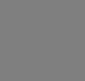 801 Plus Grey Reel
